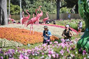 BIB: 
                            <button type="button" onclick="openModal(27793712)" class="btn btn-primary btn-sm float-right btn-popup" data-toggle="modal" data-target=".modal-high-quality">
                        <i class="fas fa-shopping-cart"></i> Add to Cart
                    </button>
                                            <button type="button" onclick="isThisMe(27793712, true)" class="btn btn-success btn-sm float-right btn-popup btn-isme hidden" data-toggle="tooltip" data-placement="bottom" title="นี่คือรูปของคุณใช่ไหม คลิกที่นี่เพื่อเอาเข้าอัลบั้ม">
                        <i class="fas fa-plus"></i> Add to album
                    </button>
                    <button type="button" onclick="isThisMe(27793712, false)" class="btn btn-warning btn-sm float-right btn-popup btn-isnotme hidden">
                        <i class="fas fa-ban"></i> Remove from album
                    </button>